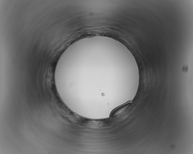 X0000112850328200909041535