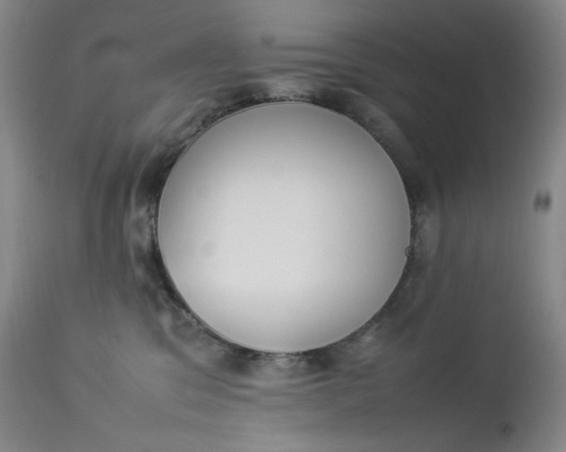 X0000112850329200909041535