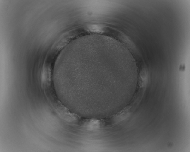 X0000112850330200909041535