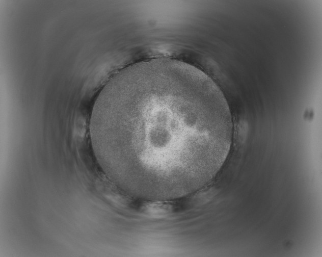 X0000112850331200909041535