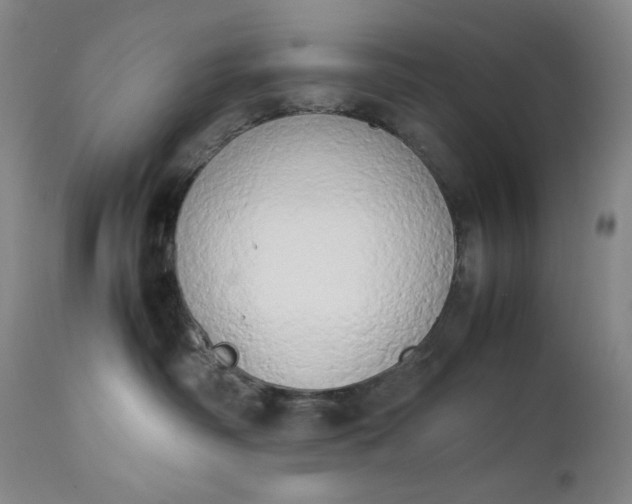 X0000112850334200909041535