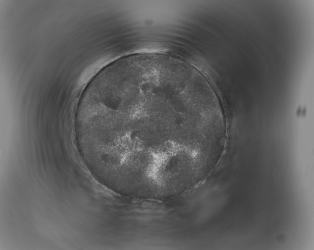 X0000112850337200909041534