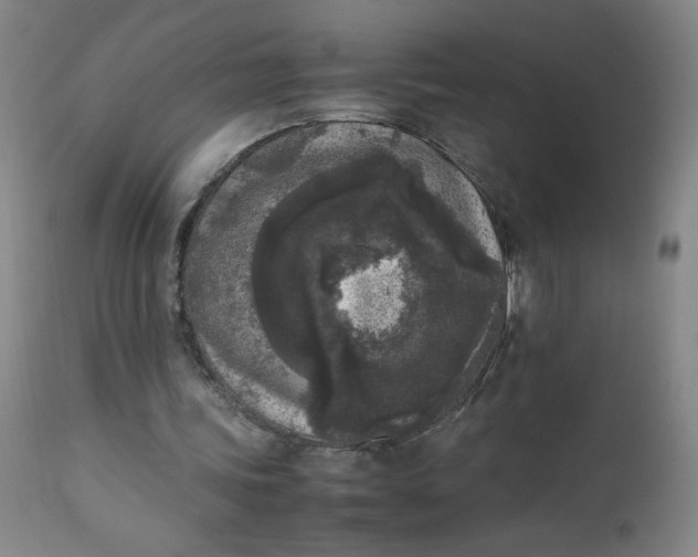 X0000112850339200909041534