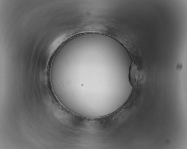 X0000112850340200909041534