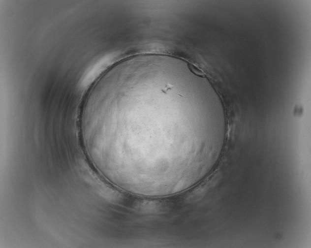 X0000112850341200909041534