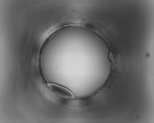 X0000112850344200909041535