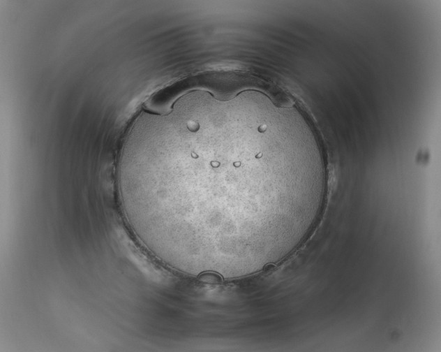 X0000112850345200909041535