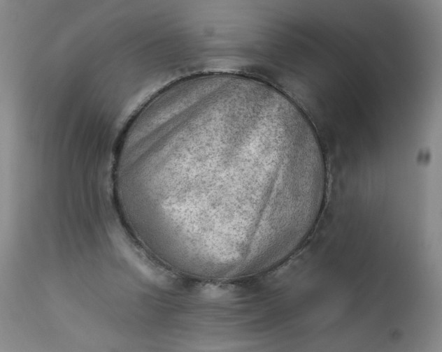 X0000112850346200909041535