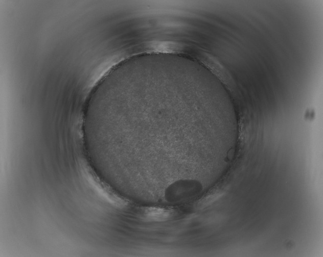 X0000112850347200909041535