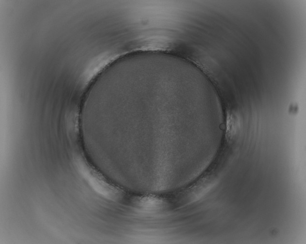 X0000112850348200909041535