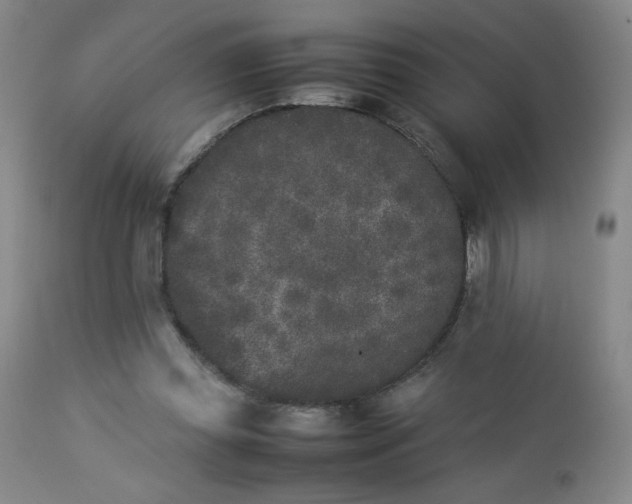 X0000112850349200909041535