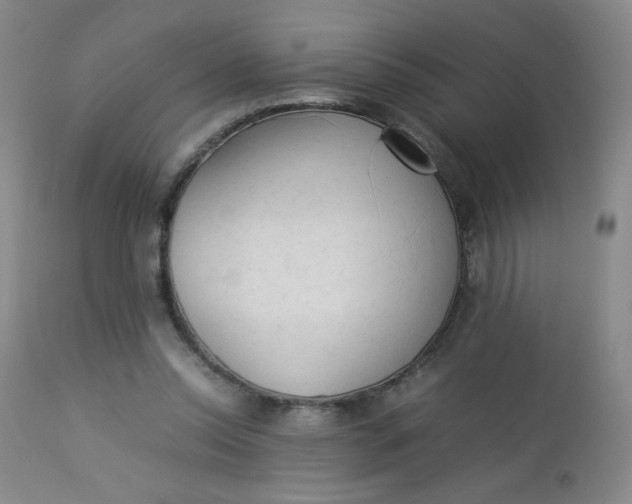 X0000112850350200909041535