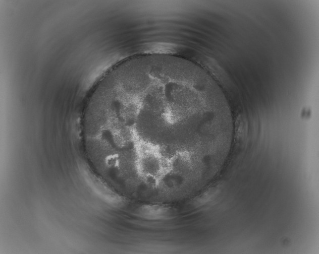 X0000112850351200909041535