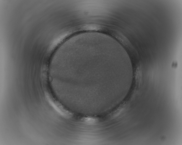 X0000112850352200909041535