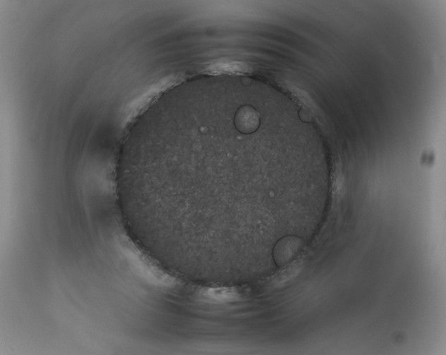 X0000112850353200909041535