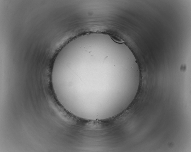 X0000112850354200909041535