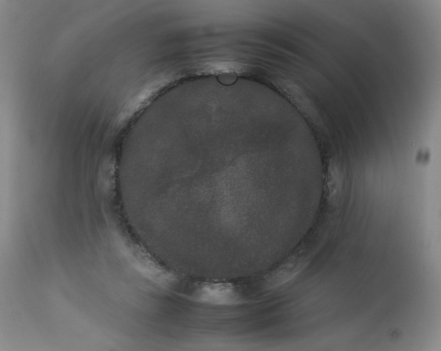 X0000112850355200909041535