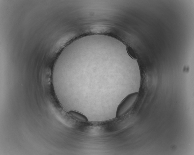 X0000112850356200909041535