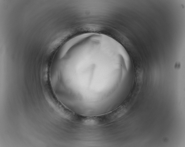 X0000112850358200909041535