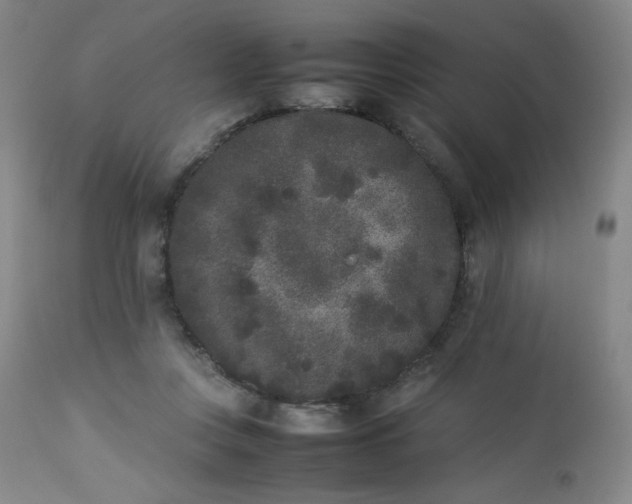 X0000112850359200909041535