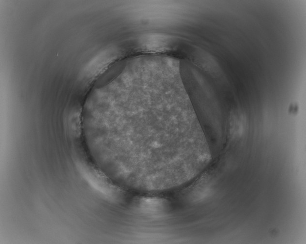 X0000112850360200909041535