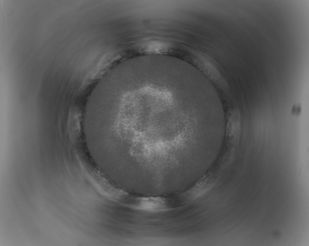 X0000112850363200909041535