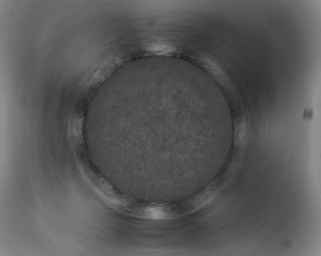 X0000112850365200909041535