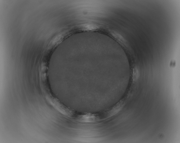 X0000112850366200909041535