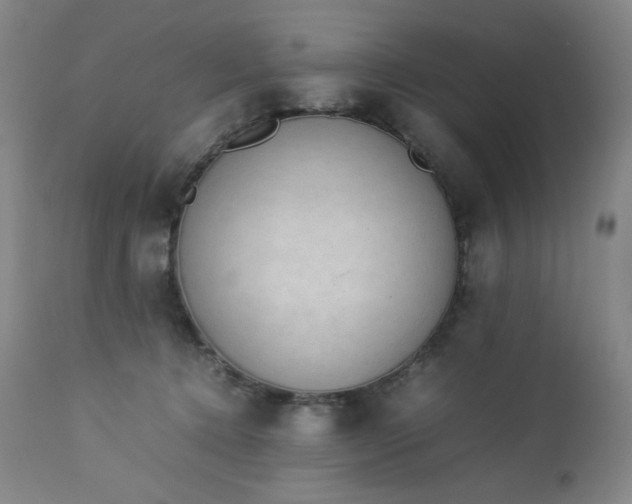 X0000112850368200909041535