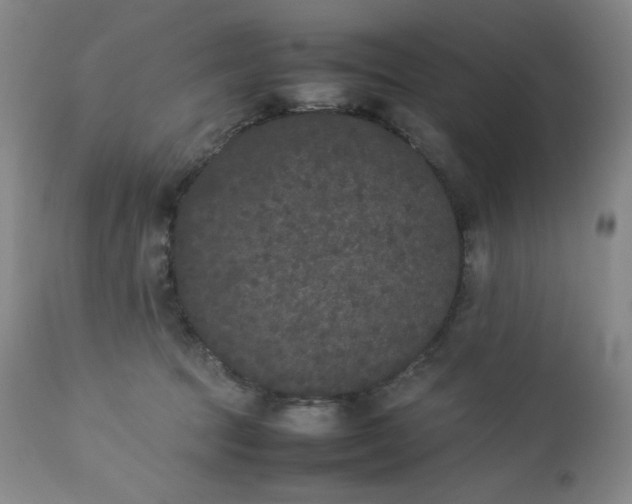 X0000112850369200909041535