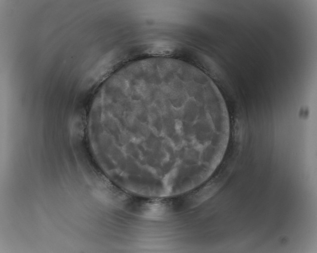 X0000112850370200909041535