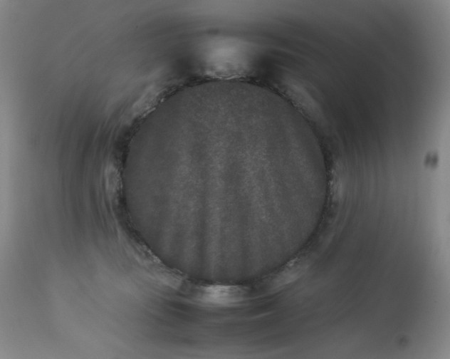 X0000112850371200909041535