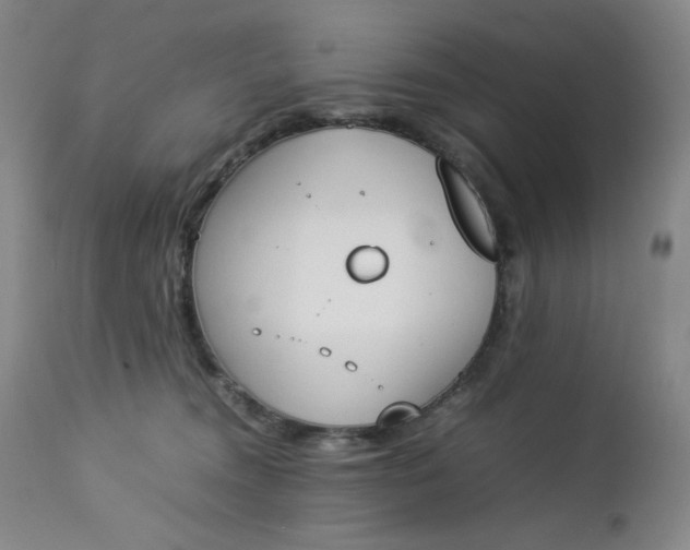 X0000112850372200909041535