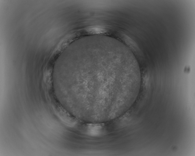 X0000112850373200909041535