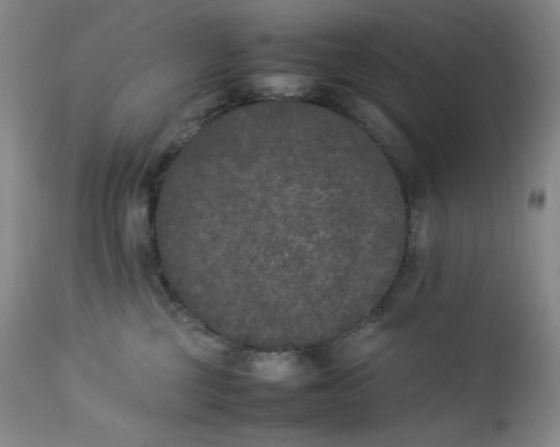 X0000112850377200909041535