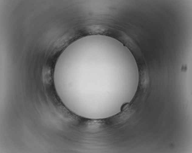 X0000112850378200909041535