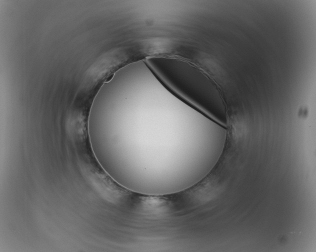 X0000112850380200909041535