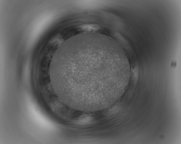 X0000112850381200909041535