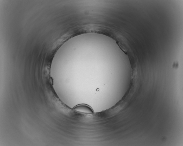 X0000112850382200909041535