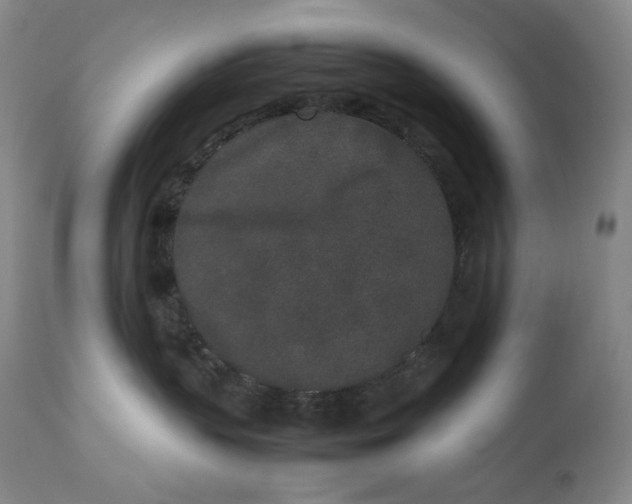 X0000112850383200909041535