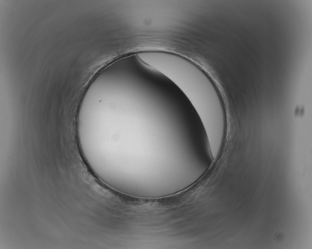 X0000112850385200909041534