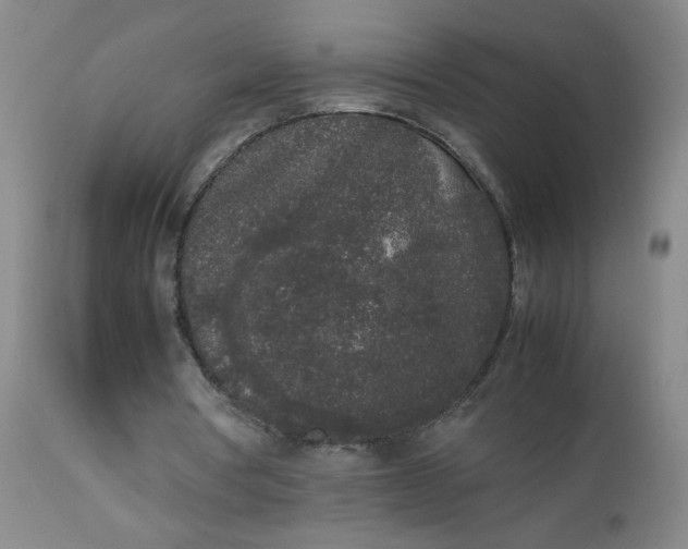 X0000112850386200909041534