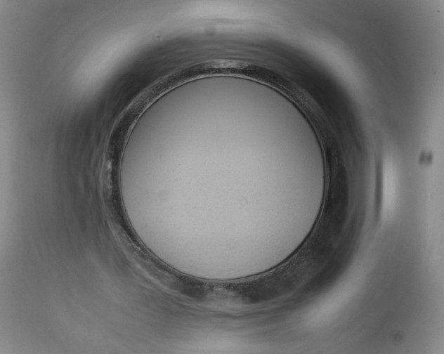 X0000112850387200909041534