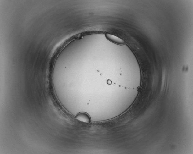 X0000112850388200909041534