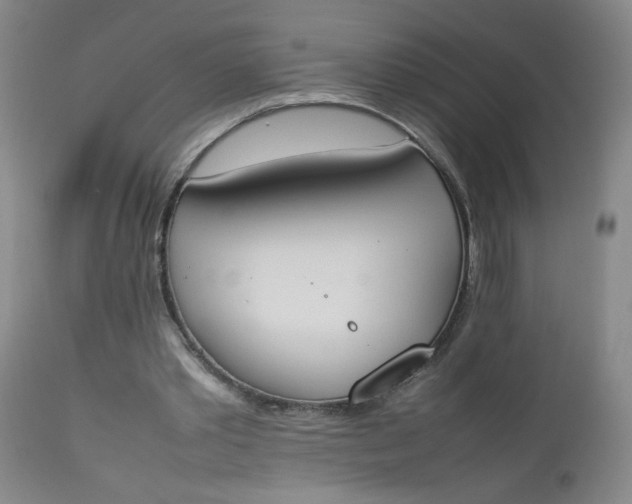 X0000112850389200909041534