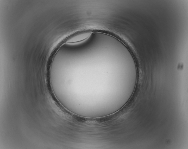 X0000112850391200909041534