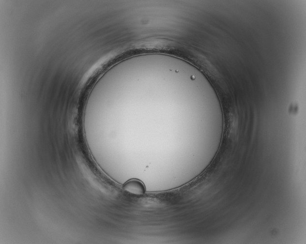 X0000112850392200909041534