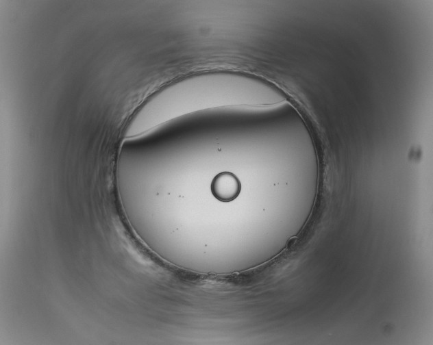 X0000112850393200909041534