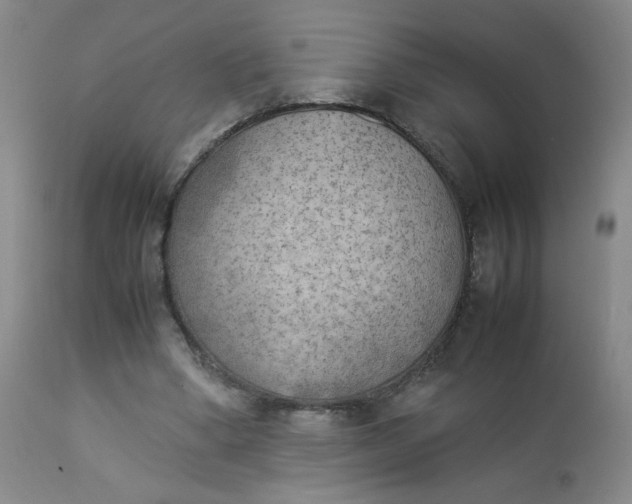 X0000112850394200909041534