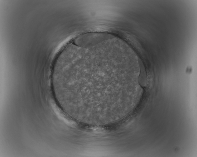 X0000112850395200909041534